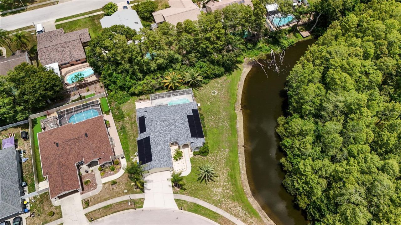 8153 Baytree Drive, New Port Richey, FL 34653 Photo