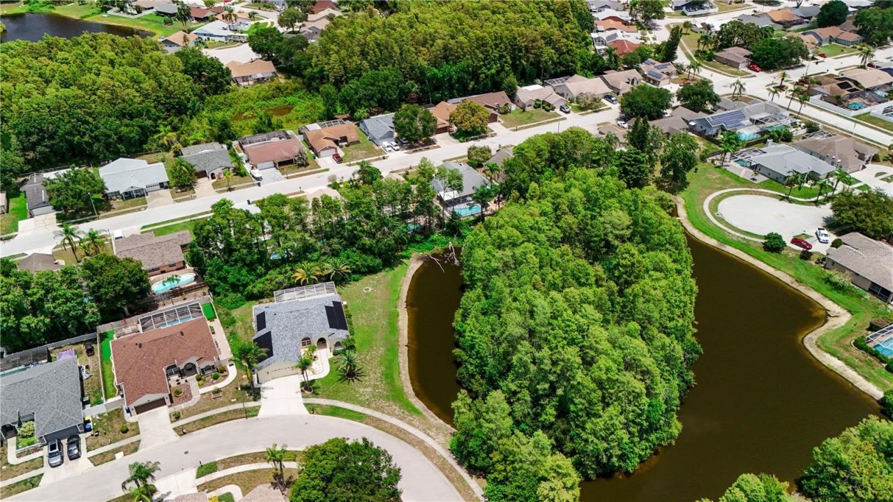 8153 Baytree Drive, New Port Richey, FL 34653 Photo