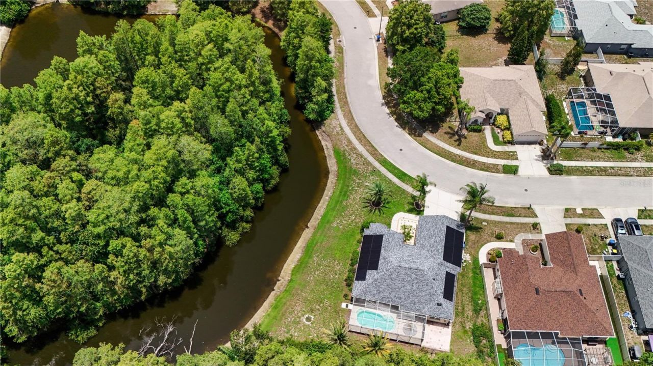 8153 Baytree Drive, New Port Richey, FL 34653 Photo