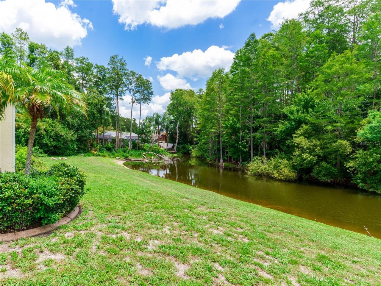 8153 Baytree Drive, New Port Richey, FL 34653 Photo