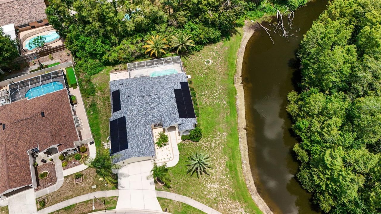 8153 Baytree Drive, New Port Richey, FL 34653 Photo