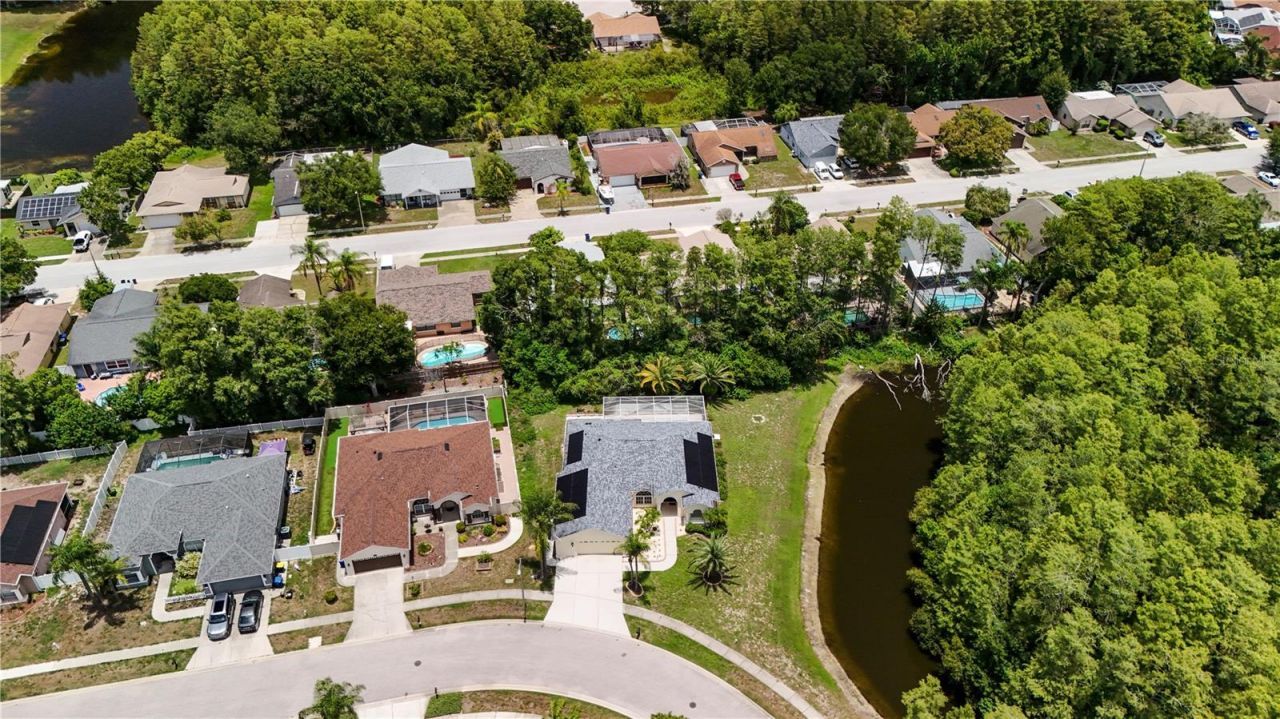 8153 Baytree Drive, New Port Richey, FL 34653 Photo