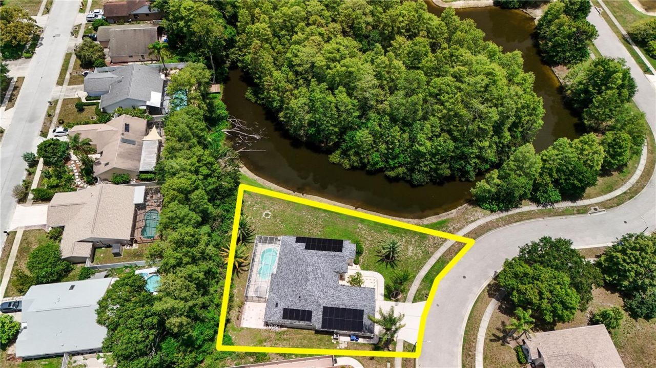 8153 Baytree Drive, New Port Richey, FL 34653 Photo