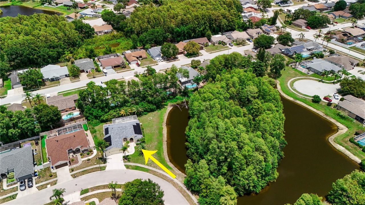 8153 Baytree Drive, New Port Richey, FL 34653 Photo