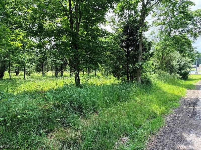 Amoy West Road, Shelby, OH 44875 Photo 3