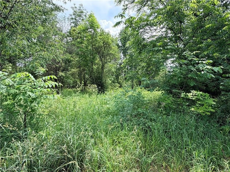 Amoy West Road, Shelby, OH 44875 Photo 4