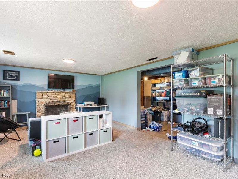 3973 Summit Road, Ravenna, OH 44266 Photo 29