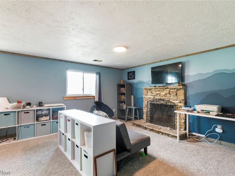 3973 Summit Road, Ravenna, OH 44266 Photo 30