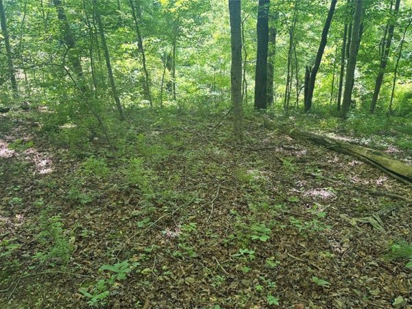 0 TR117-NR Woodside, Smithfield, PA 15478