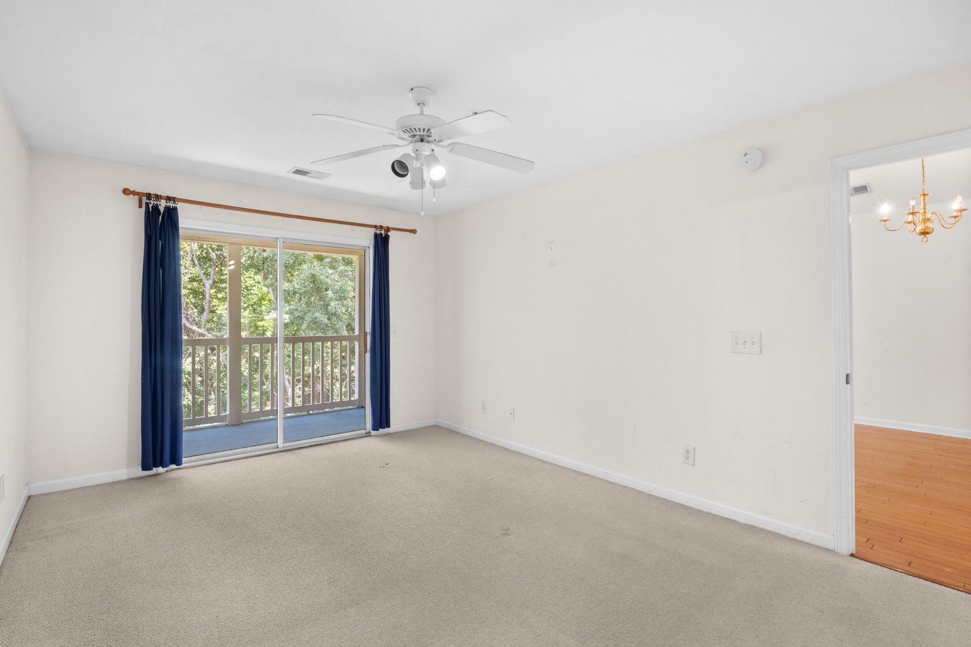 1125 Blue Stem Dr.  Photo 13
