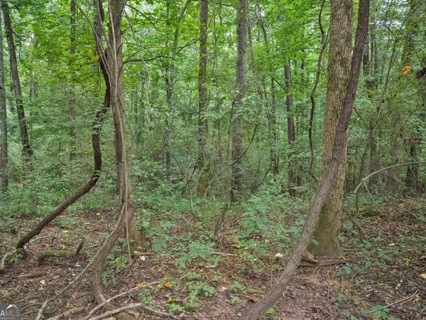 82 Askin Place, Culloden, GA 31016