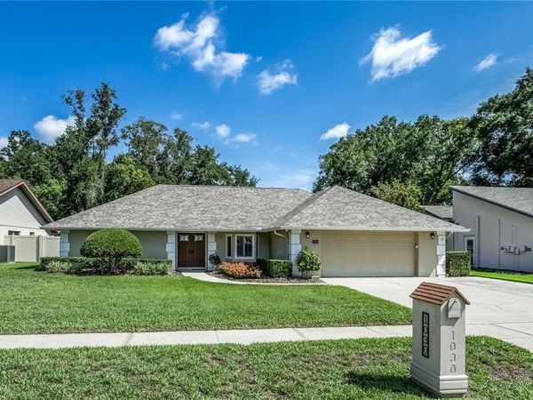 1030 SYLVIA LANE , TAMPA, FL 33613
