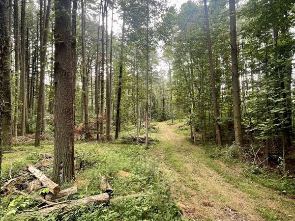 7288 Becks Grove Road, Freetown, IN 47235