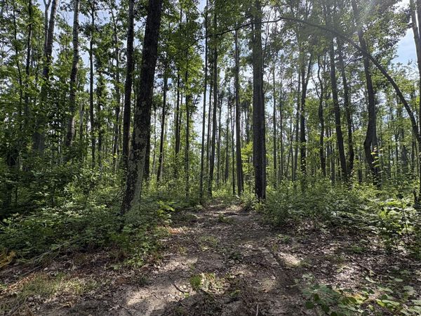 6885 Klein Road, Hillman, MI 49746