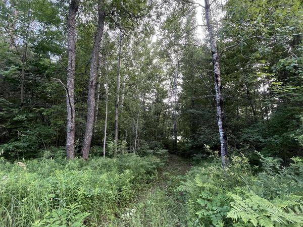 Lot 251 Sunridge Drive, Elmira, MI 49730