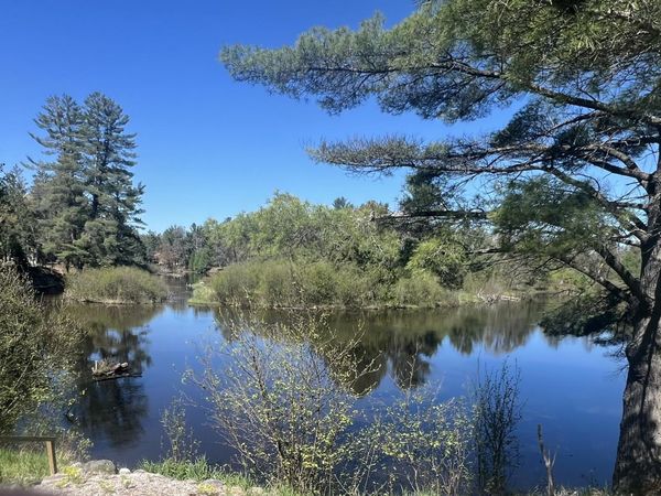 1733 N Manistee River Road, Grayling, MI 49738