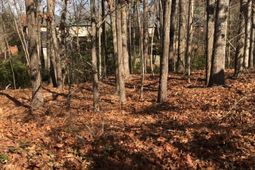 326 Carola Lane  photo 4