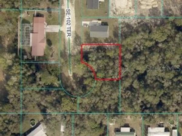SE 102ND TERRACE , OCKLAWAHA, FL 32179