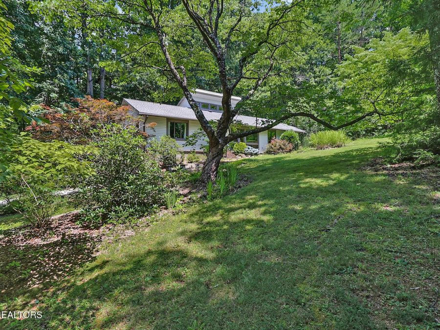 Property Image 55