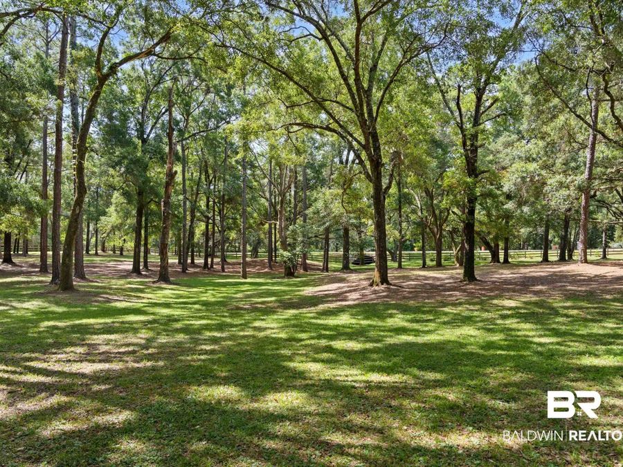 Property Image 69