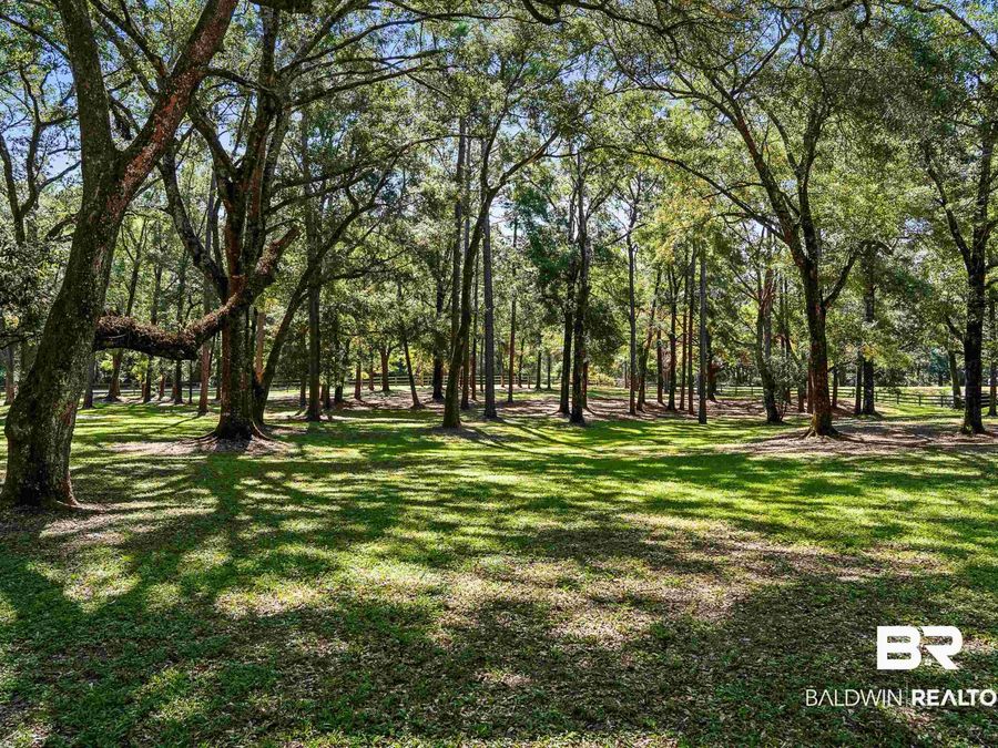 Property Image 81