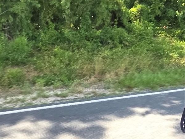 Lakewood School Road, Salemburg, NC 28385