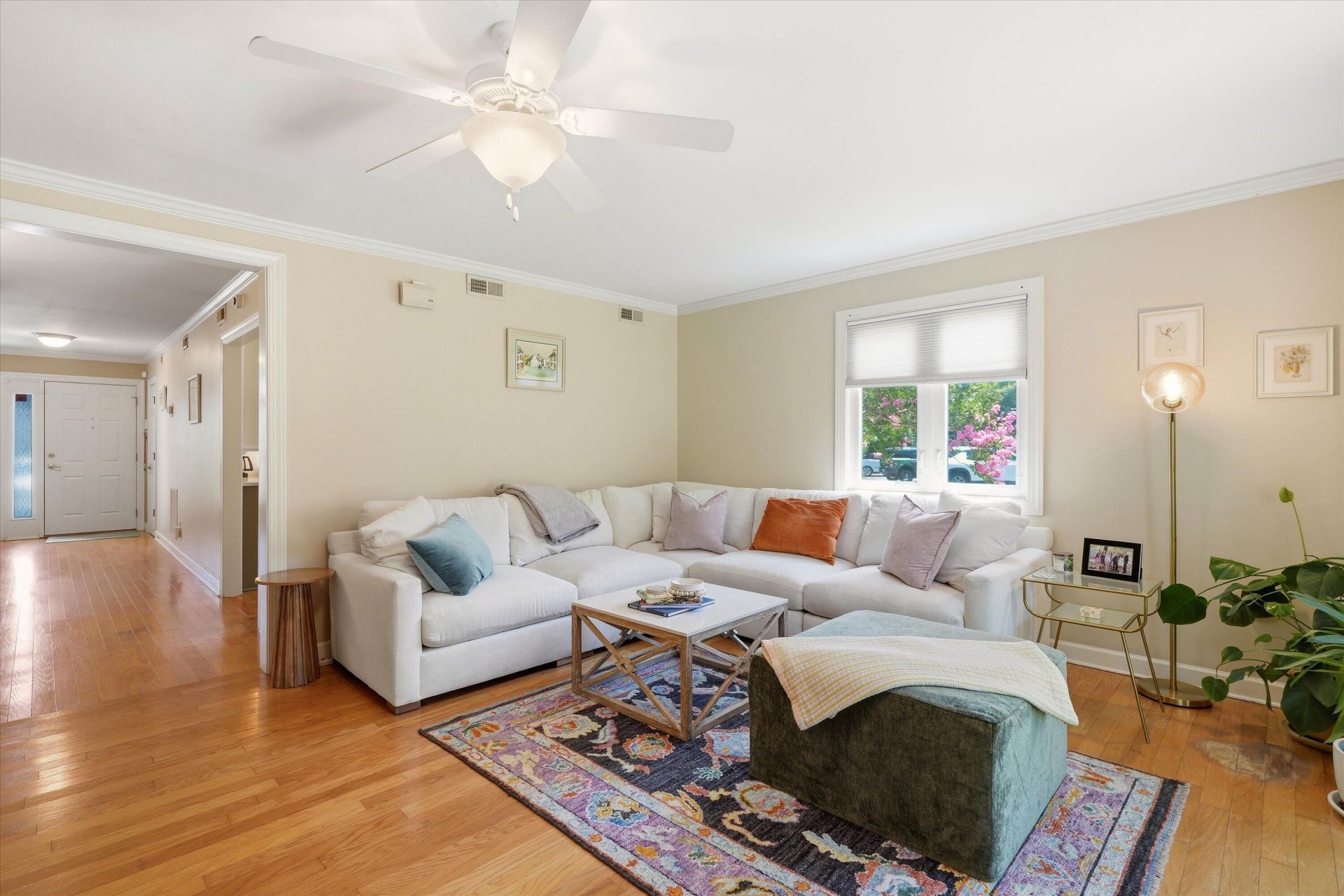 1001 Ventura Place Photo 13