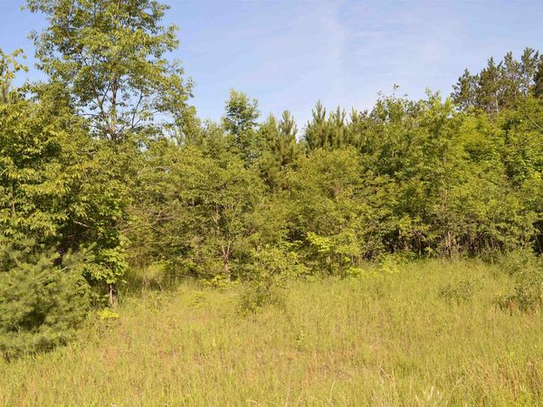 Holly Road NE, Kalkaska, MI 49646