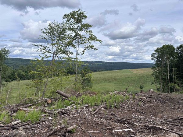 0 Davis Acres Road, Brookfield, VT 05060