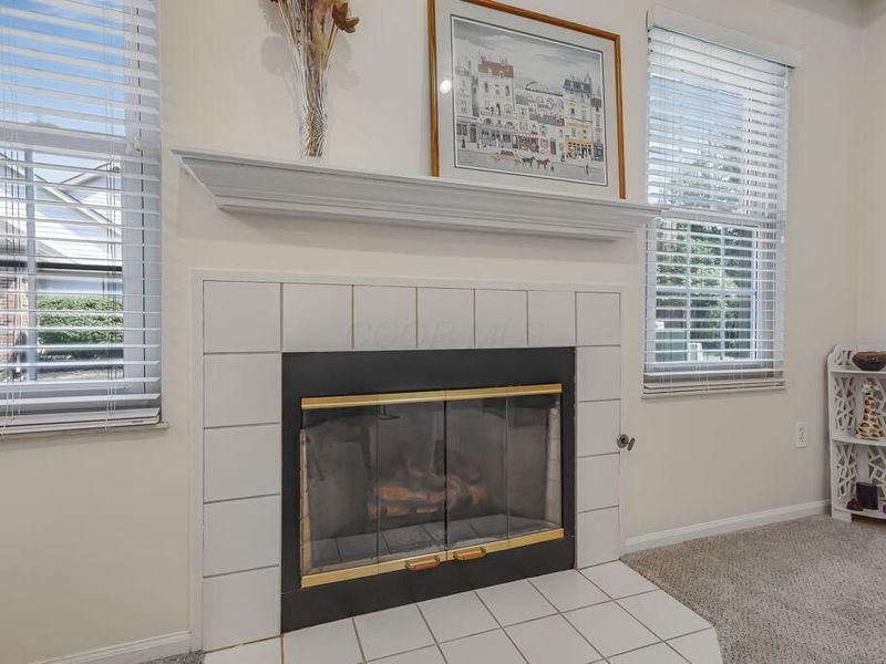 3679 Osprey Lane, Powell, OH 43065 Photo 20