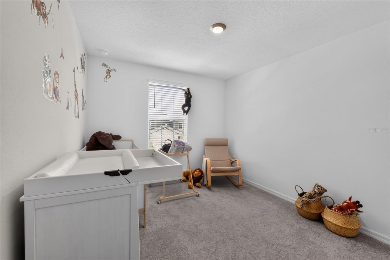 13065 Empress Jewel Trail, Parrish, FL 34219 Photo
