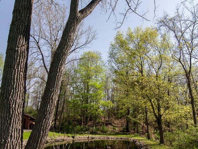 14675 Palmer Road SW, Etna, OH 43068 Photo 44