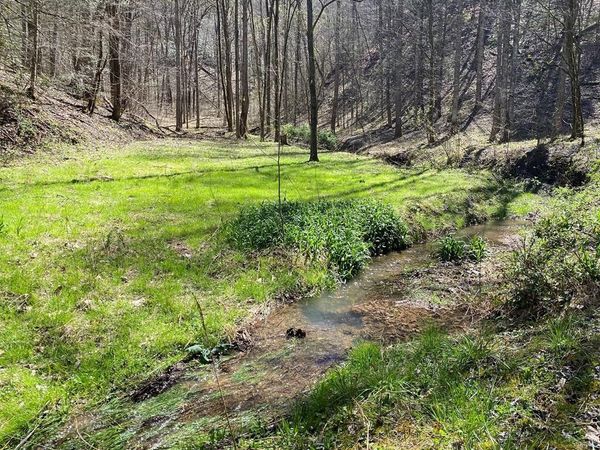 0 Valley Springs Way , Unit ., Sevierville, TN 37862