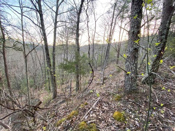 46 Beechwood Street , Unit 46, Sevierville, TN 37876