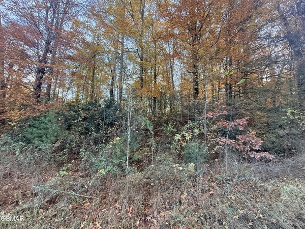 4243 Deerfoot Road , Unit 42/43, Newport, TN 37821