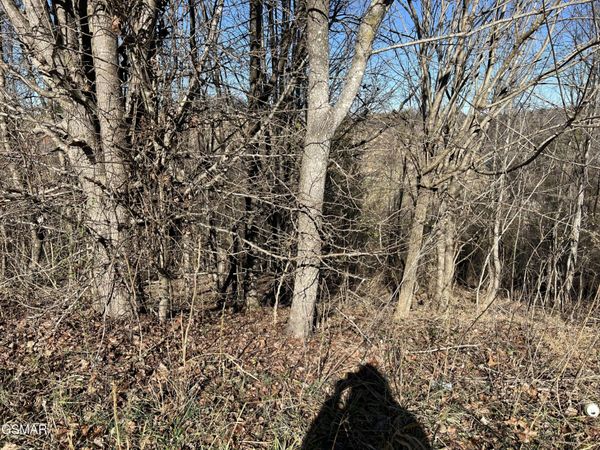 3 Baldwin View Drive , Unit 03, New Market, TN 37820