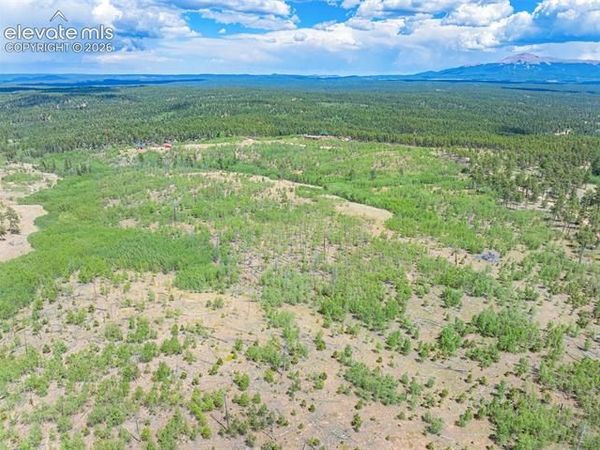 Unit 2 County Road 51 , Florissant, CO 80816