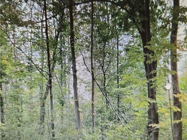 5 W Rt-5 , Portland, NY 14769