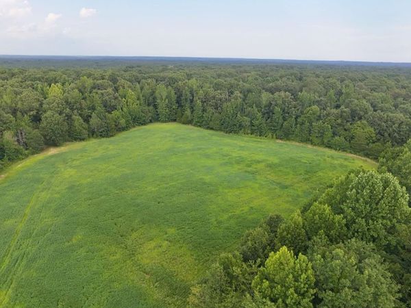 00 PEA VINE RD S, Middleton, TN 38052