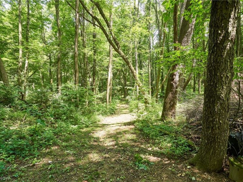 1865 Hartville Road, Mogadore, OH 44260 Photo 27