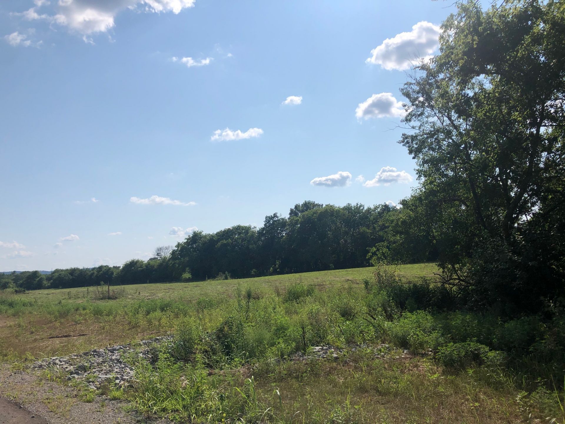 7013 Belcastle Ln, Lot #2, College Grove, TN 37046 Main Photo