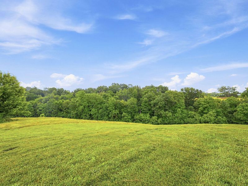 400 Stringtown Road, Corinth, KY 41010 Photo 42