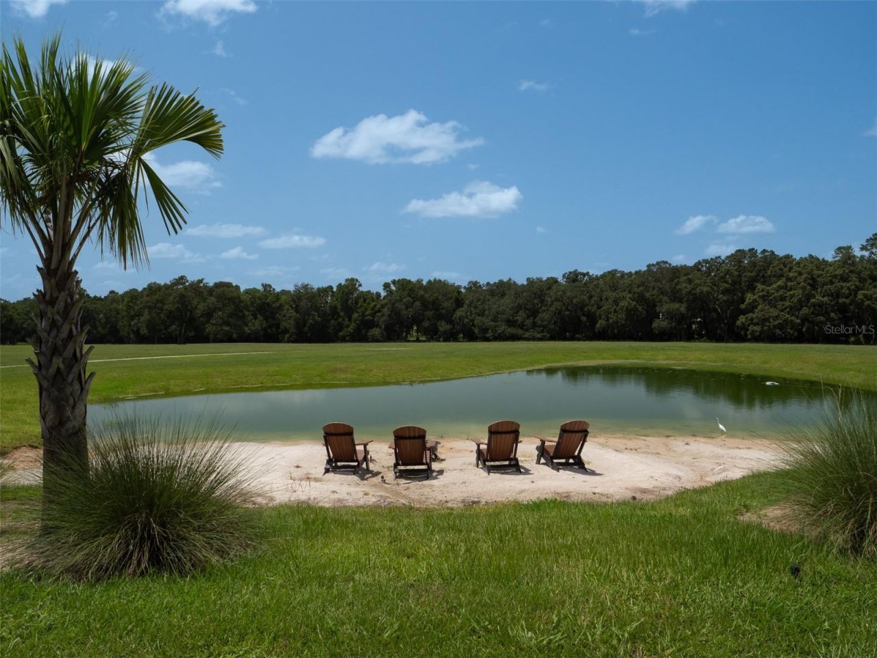 8351 NW 110th Street, Reddick, FL 32686 Photo