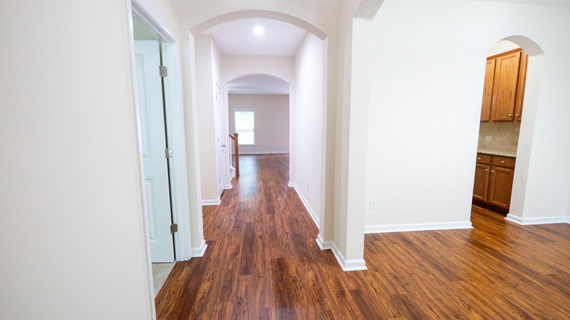 1634 Sparkleberry Lane Photo 18
