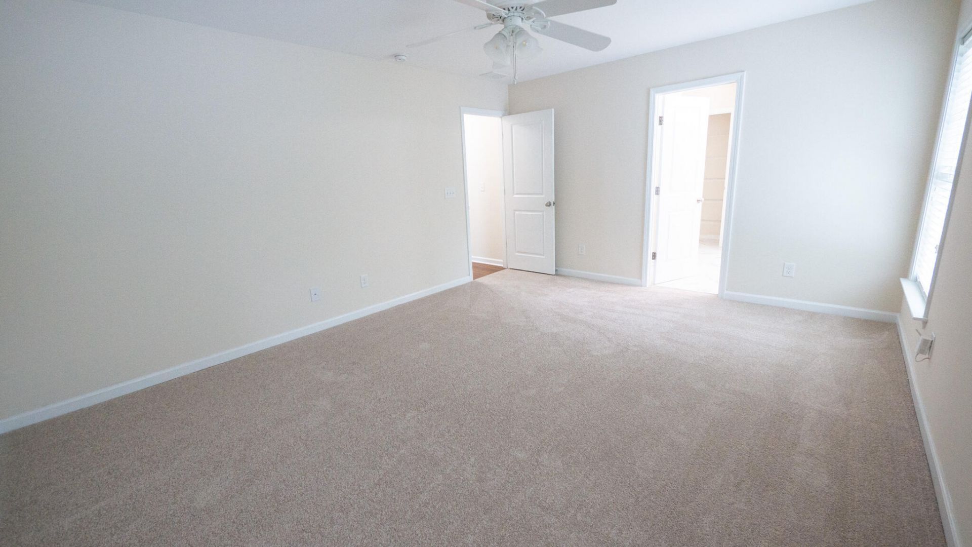 1634 Sparkleberry Lane Photo 29