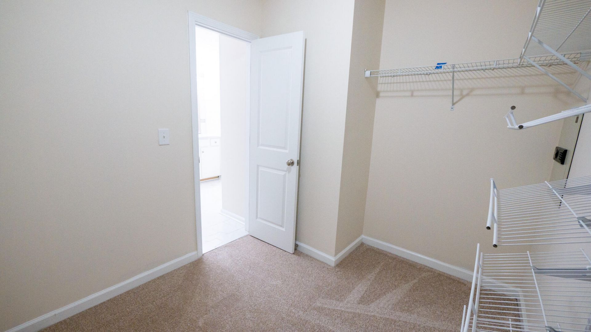 1634 Sparkleberry Lane Photo 34