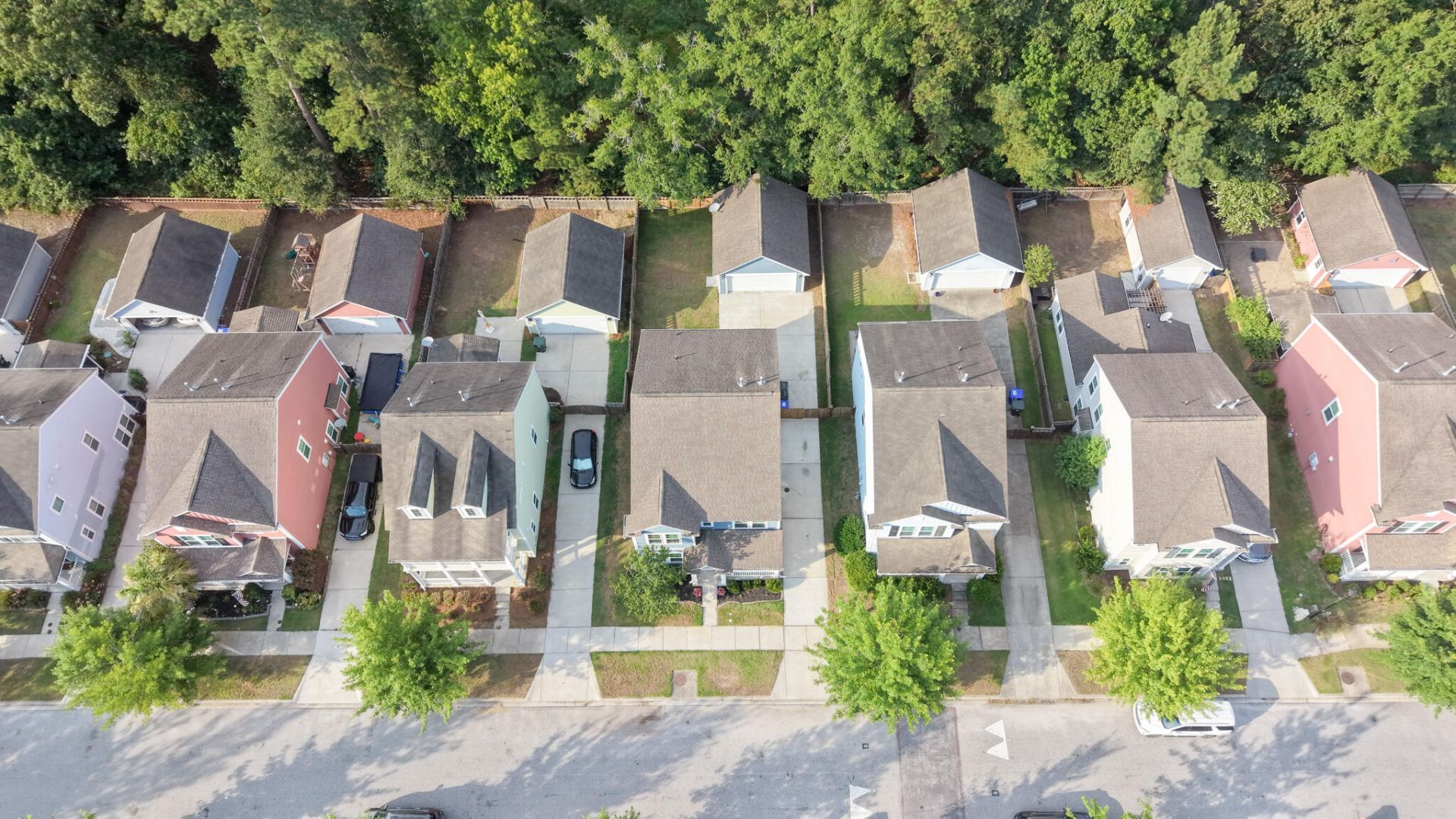 1634 Sparkleberry Lane Photo 4