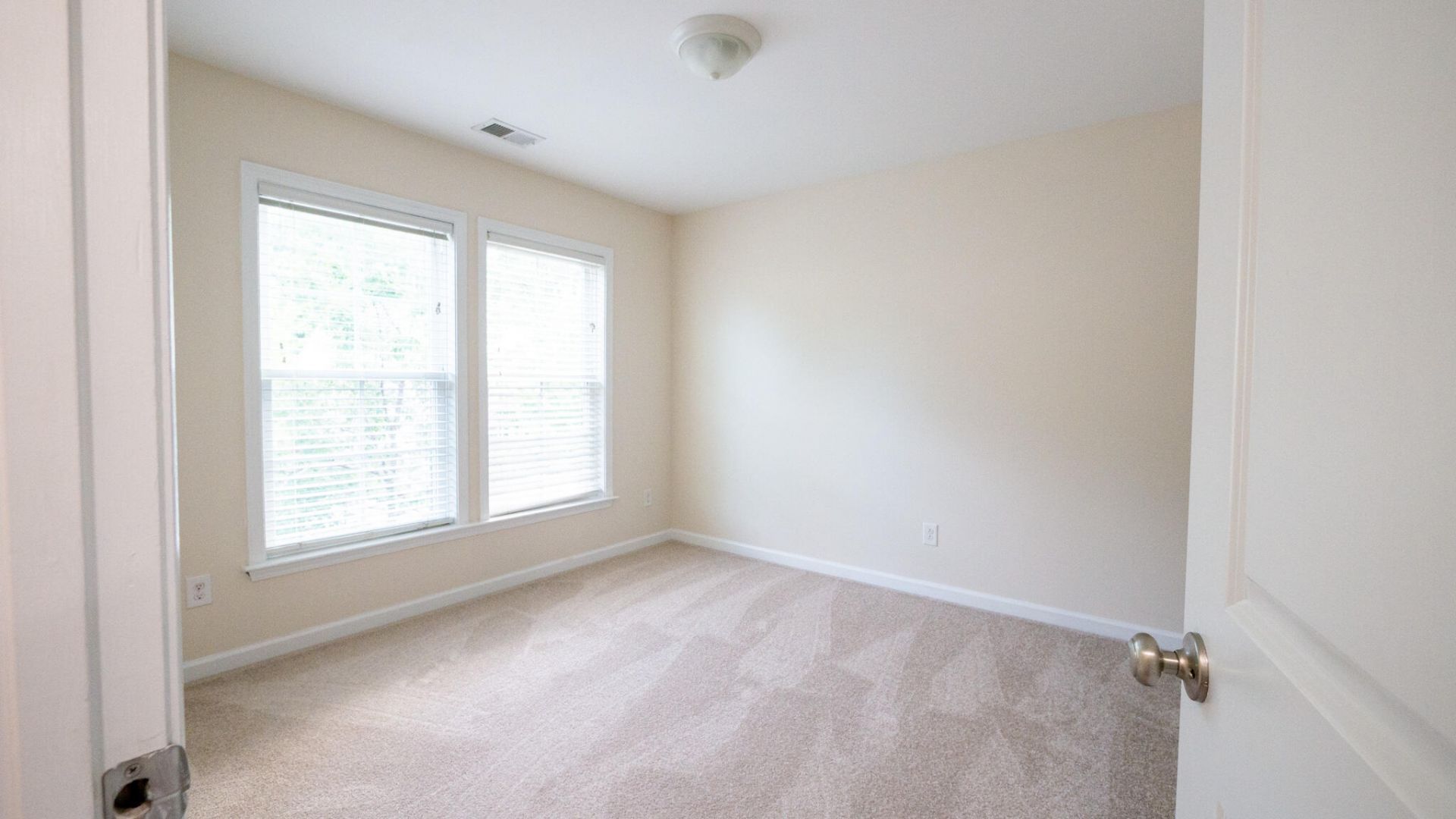 1634 Sparkleberry Lane Photo 43
