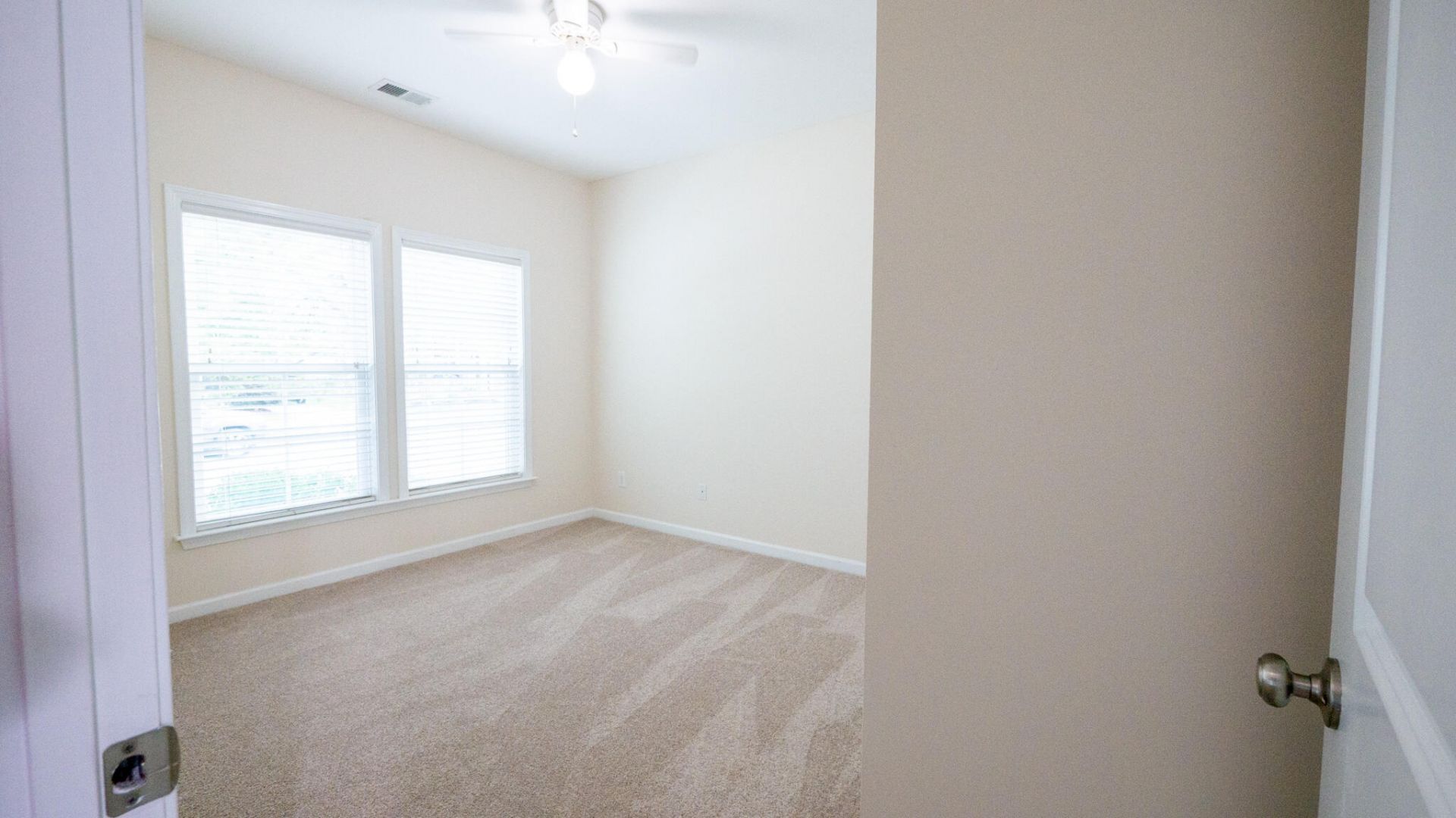 1634 Sparkleberry Lane Photo 46