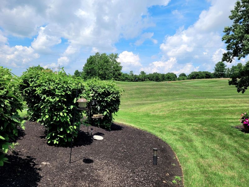 6578 Summerfield Drive, Florence, KY 41042 Photo 19
